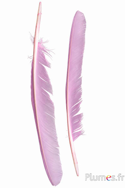 Zwaan - 35-40 cm - roze